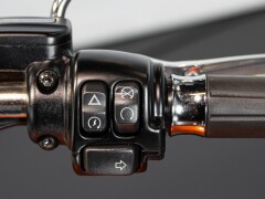 Harley Davidson HERITAGE DELUXE 